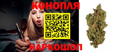 spice Гуково